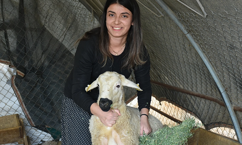 Malatya'da devlet desteğiyle başladı, 3 yılda 250 hayvana ulaştı