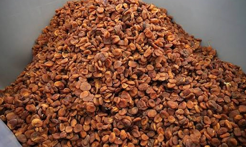 Malatya'da fiyatı üçe katlandı! Üreticide 270 TL Markette 750 TL