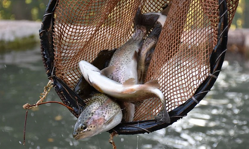 Malatya'da Kapıkaya Barajı 10 yıllığına kiralanacak