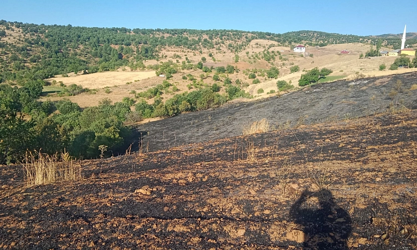 Malatya'da korkutan yangın: 2 ev kül oldu, 20 dönüm bahçe zarar gördü