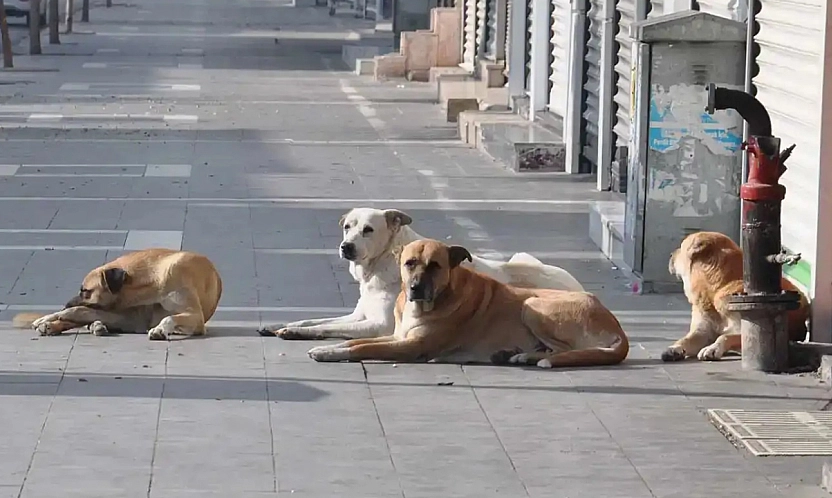 Malatya'da belediyeler Eylül'de denetlenecek