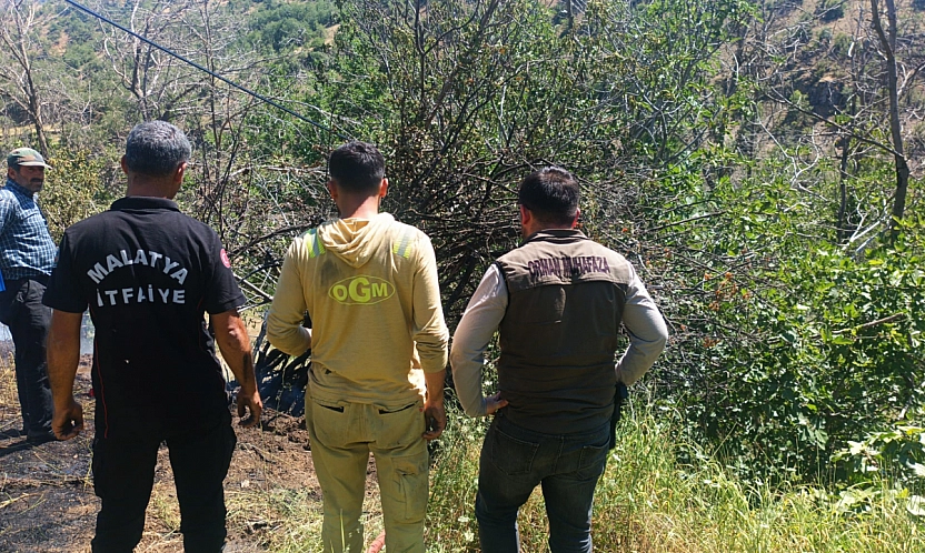 Malatya'da sıcaklar arttı, yangınlar başladı: Alevler 4 ilçeyi sardı