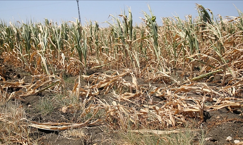 Malatya'da Su Krizine Barajlı Çözüm: İşte Detaylar