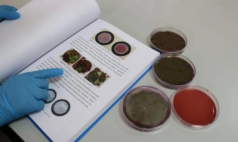 Malatya'da yapılan araştırma gerçeği ortaya çıkardı! Çiğ Sütten Geçiyor