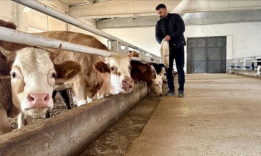 Malatya'da zorunlu olacak! Canlı hayvanlar saniye saniye izlenecek!