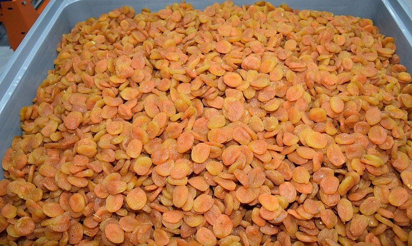 Malatya Kayısında İki Pazar, Tek Endişe Kayısının Geleceği Tehlikede