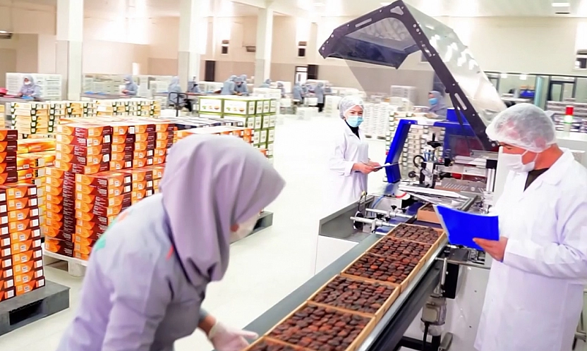 Malatya kayısısından 247 milyon dolarlık gelir