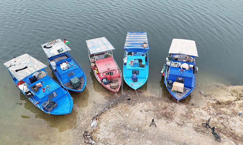 Malatya'nın gelir kapısı oldu: Günlük 2 ton toplanıyor, Ortadoğu ülkelerine satılıyor…