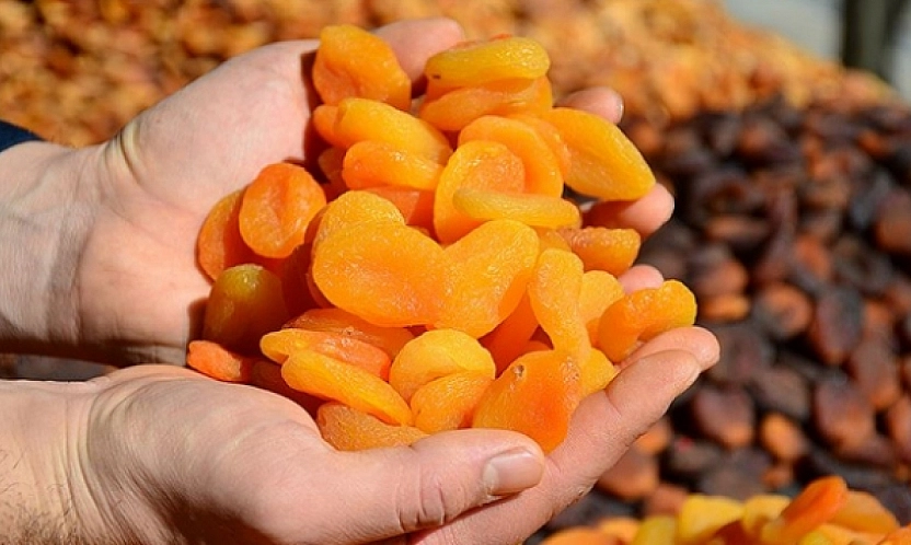 Malatya'nın ihracatı düşüyor…