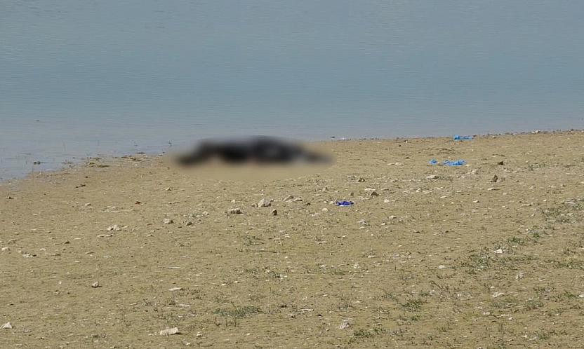 Malatya Pınarbaşı göletinde erkek cesedi bulundu