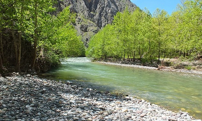 Sivas'tan Malatya'ya misafirliğe gelmişti! Kozluk Çayı'nda hayatını kaybetti