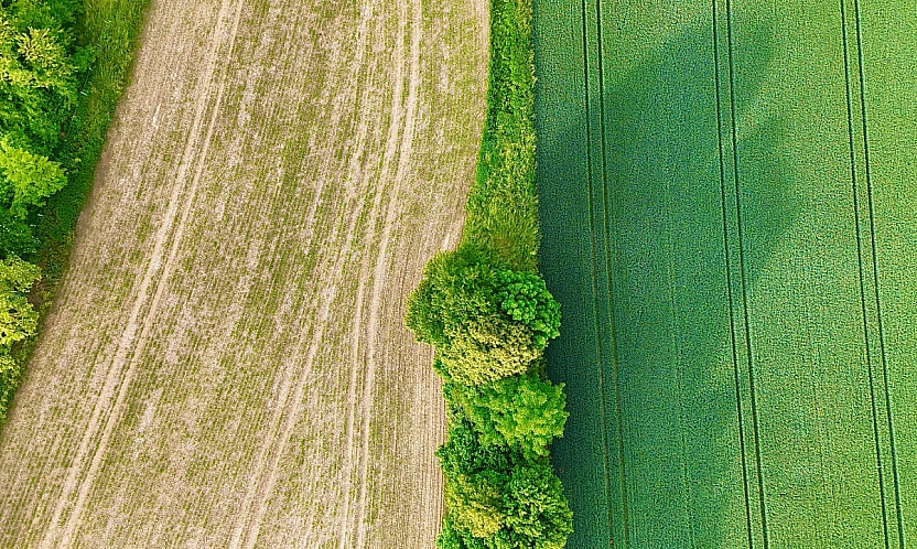 TOKİ Malatya'da açık artırmayla arsa satacak