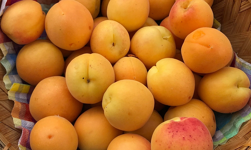 Türkiye 7 üründe dünyada lider, Malatya kayısısı açık ara zirvede