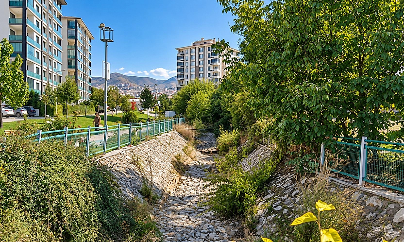 Yetkililere acil çağrı! Horata Çayı için tehlike çanları çalıyor!