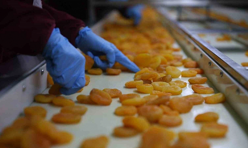 AB tescilli Malatya kayısısı raflarındaki yerini korumaya çalışıyor