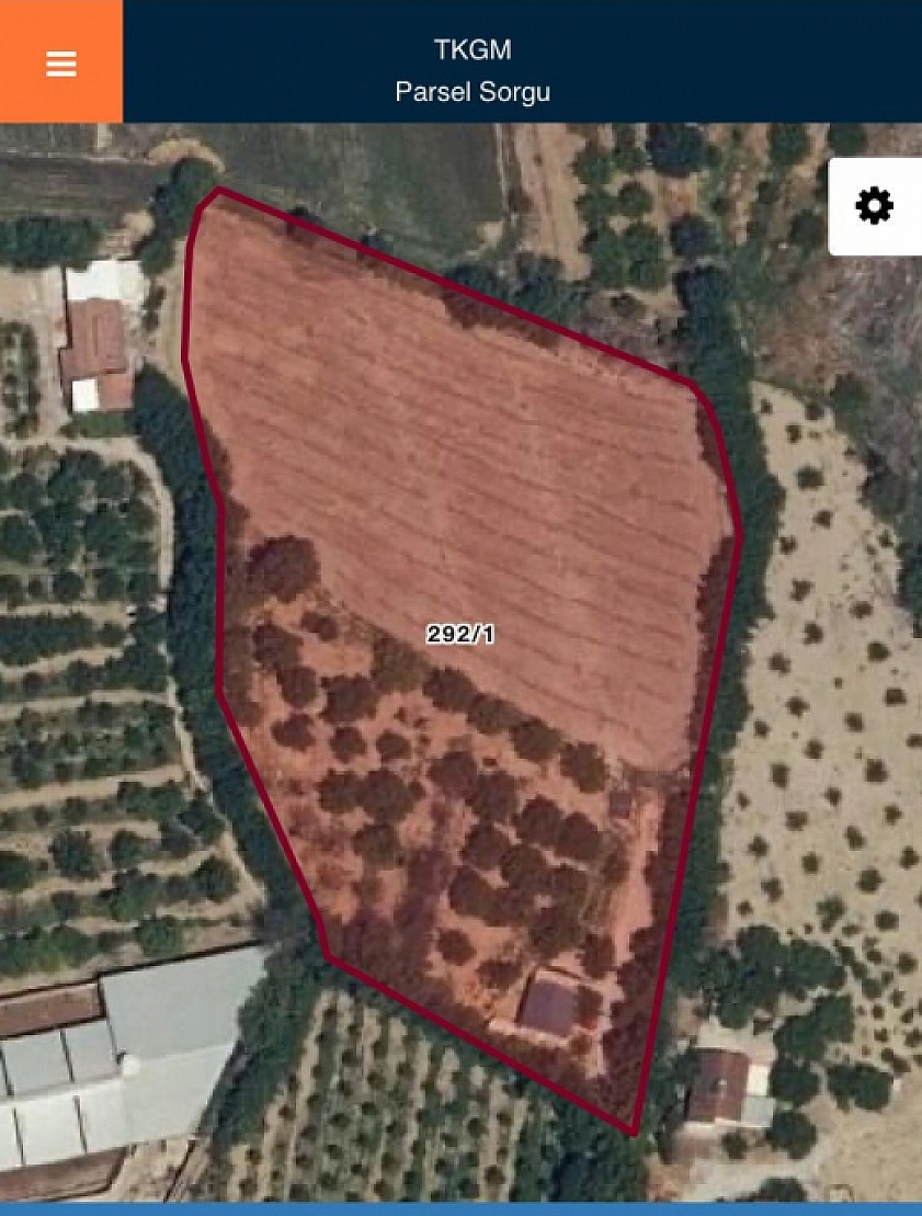 Malatya'da Ağaç Katliamı: DSİ'nin Bahanesi Yol!