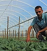 Malatyalı genç çiftçilere müjde! Devletten büyük destek paketi…
