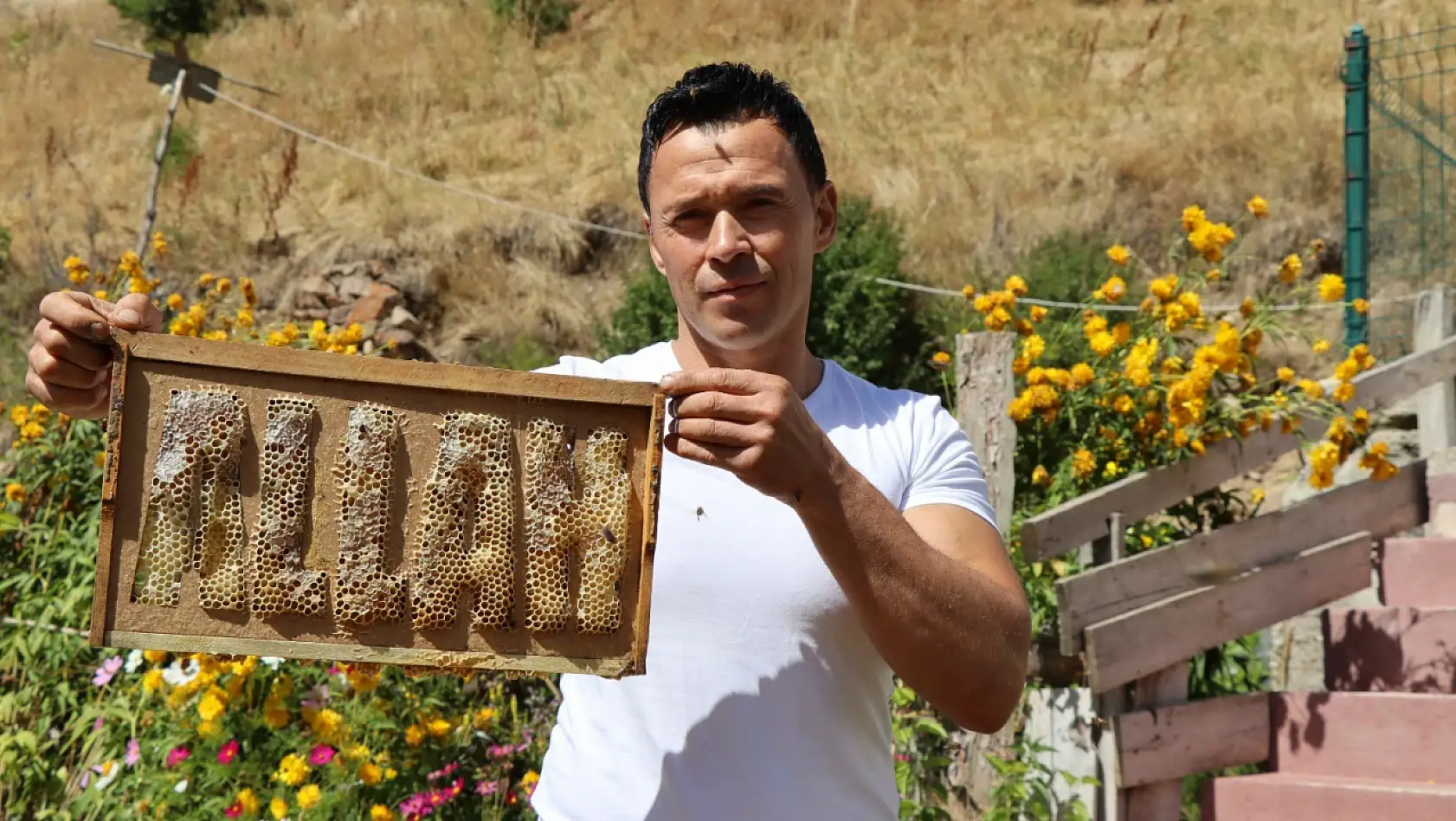 Arılara yazmayı öğreten adam