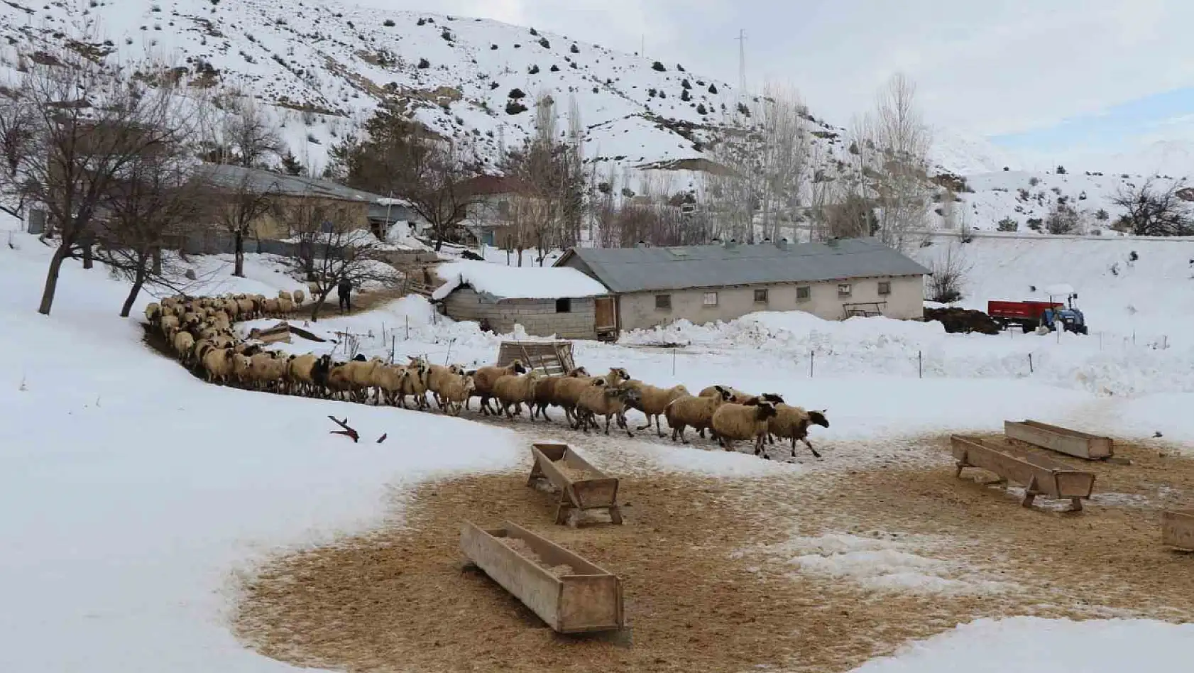Çobanların kış mesaisi başladı