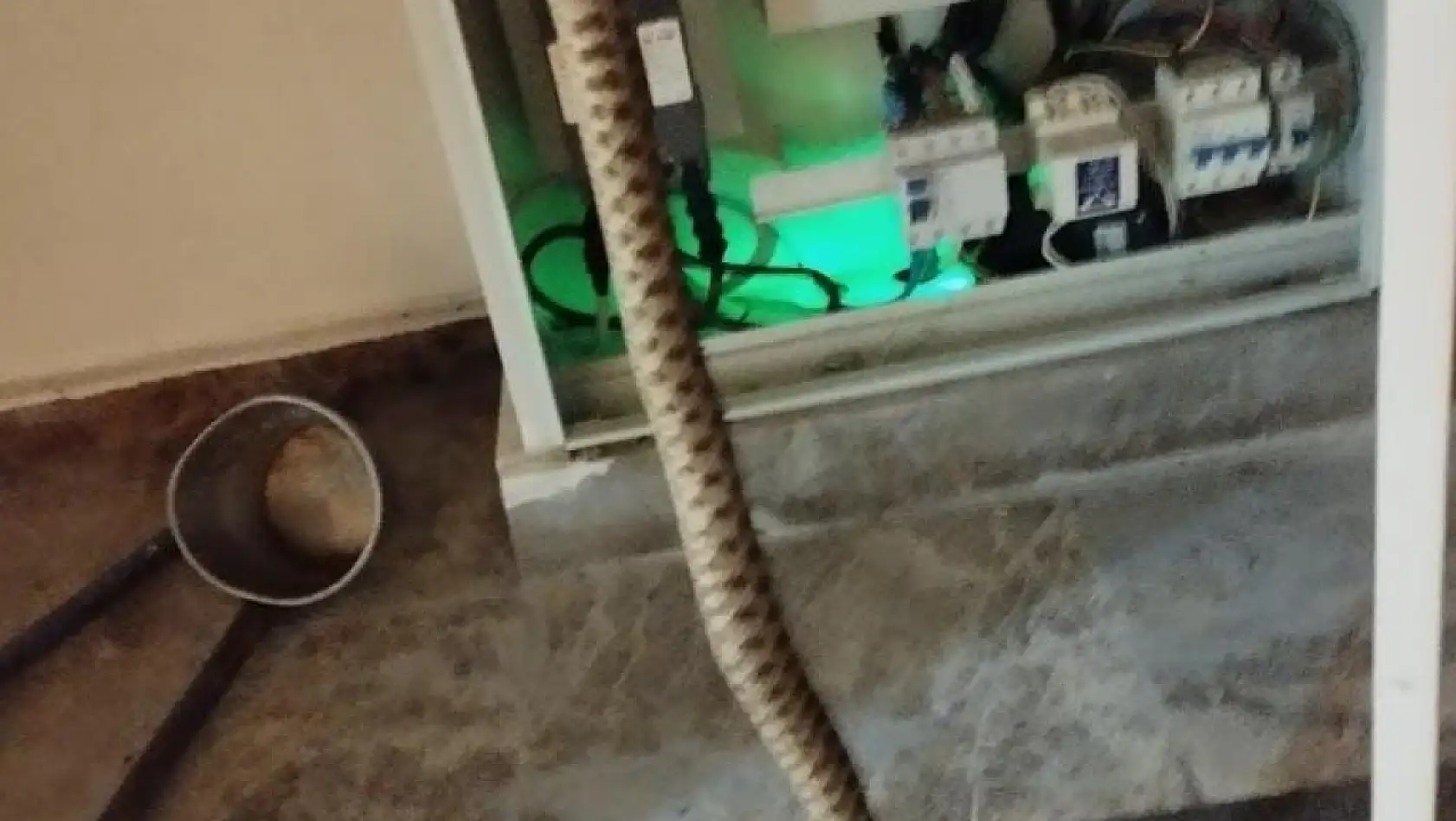 Elektrik panosuna giren yılan korkuttu
