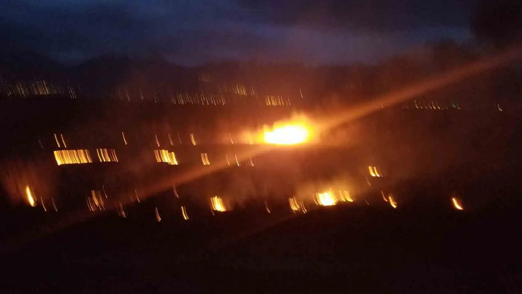 Erzincan'da örtü yangını korkuttu