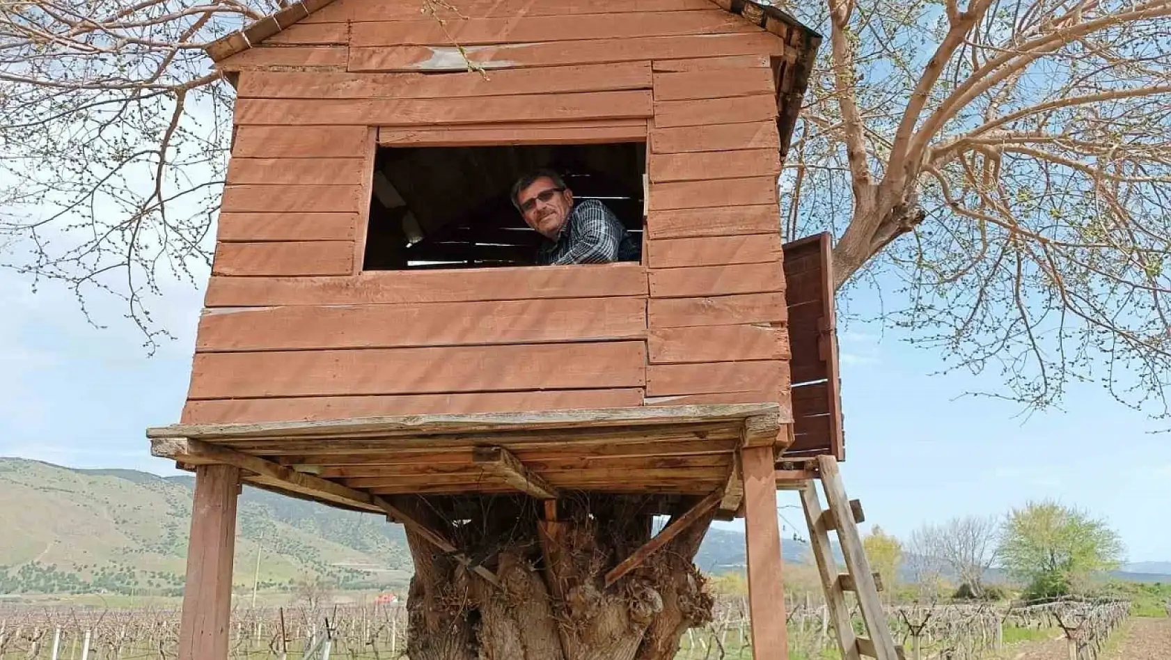 Manisa'da, gece değil ağaçkondu ev