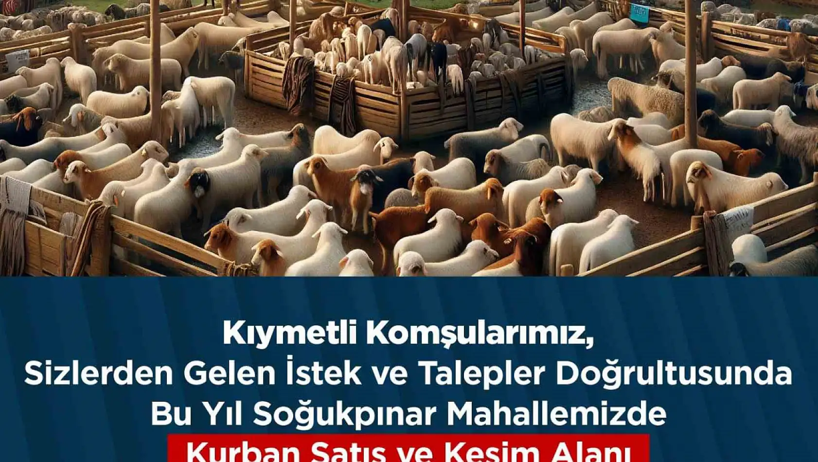 İstanbul'da belediye kurban pazarını kaldırdı!