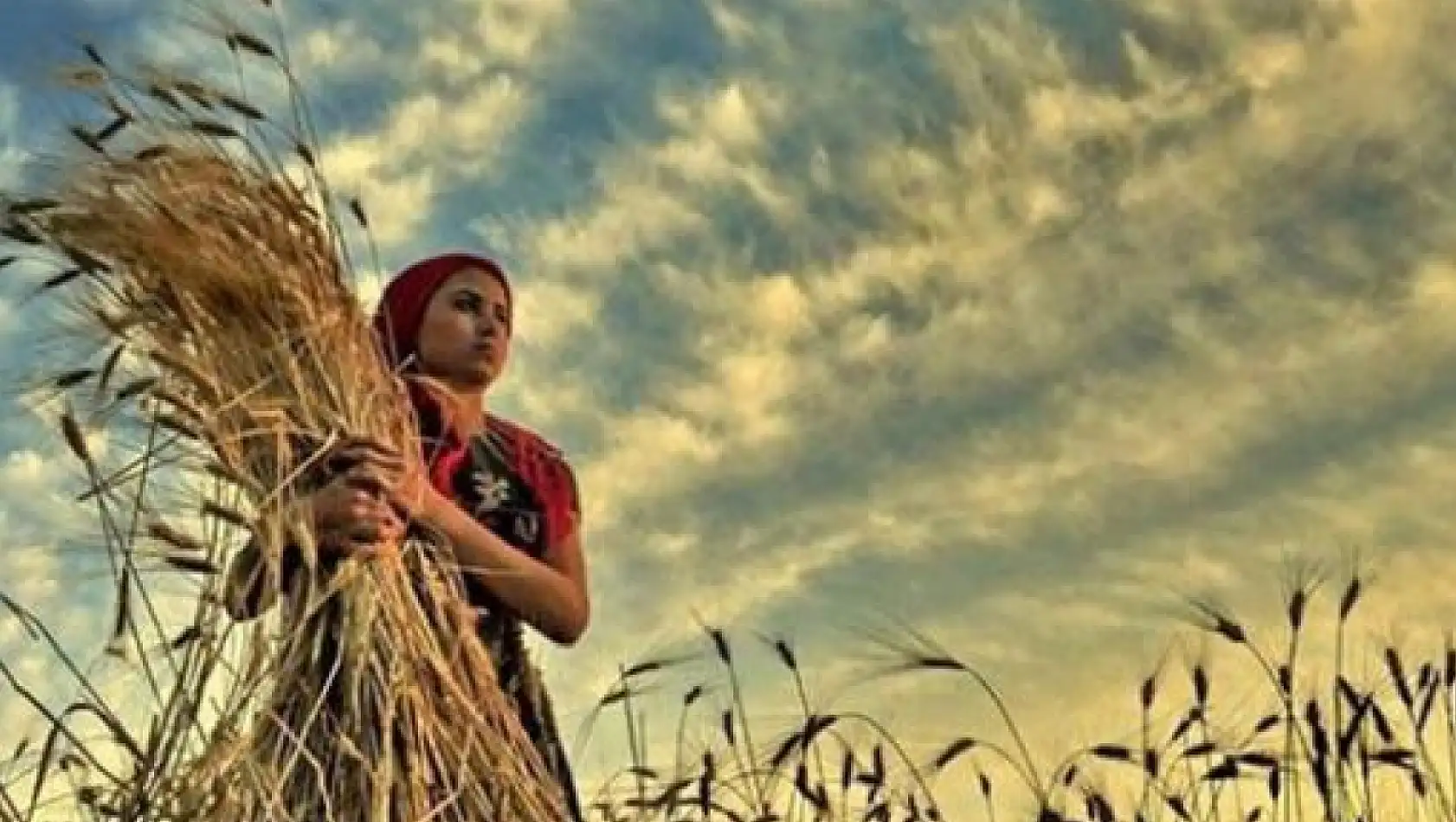 Genç kadın çiftçi sayısı artıyor