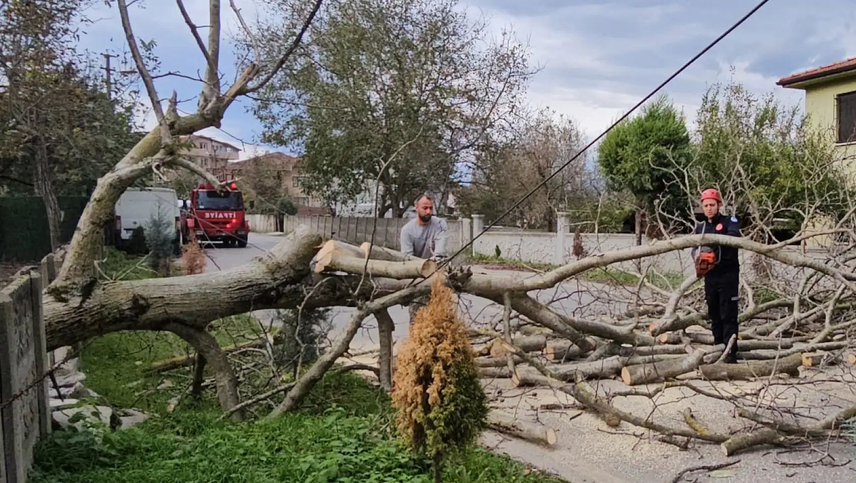 Şiddetli fırtına ağaç devirdi