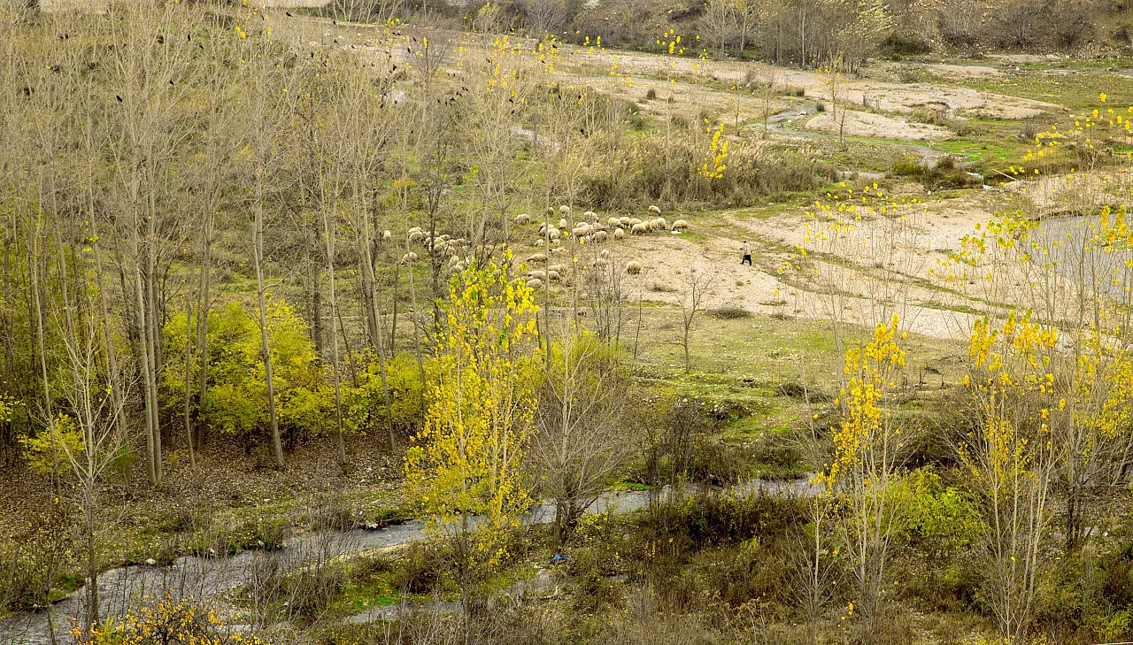 Malatya'nın o ilçesindeki görsel şölenler hayran bıraktı