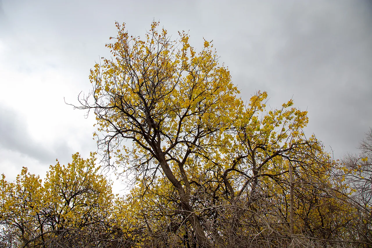 Malatya'nın o ilçesindeki görsel şölenler hayran bıraktı