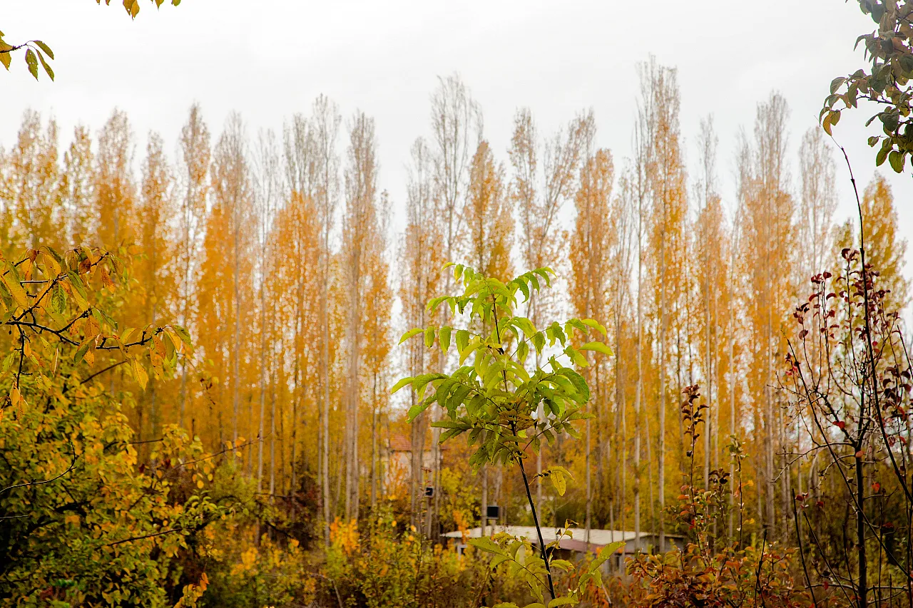 Malatya'nın o ilçesindeki görsel şölenler hayran bıraktı