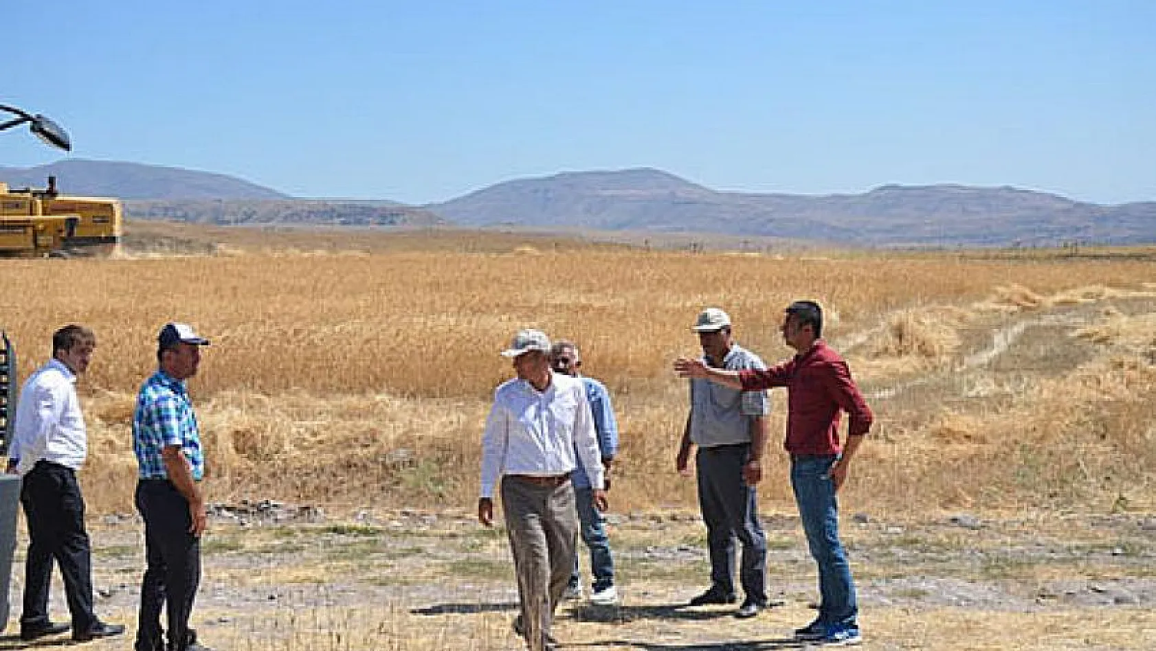 Arguvan'da Sarı Bursa Buğdayı ekildi 