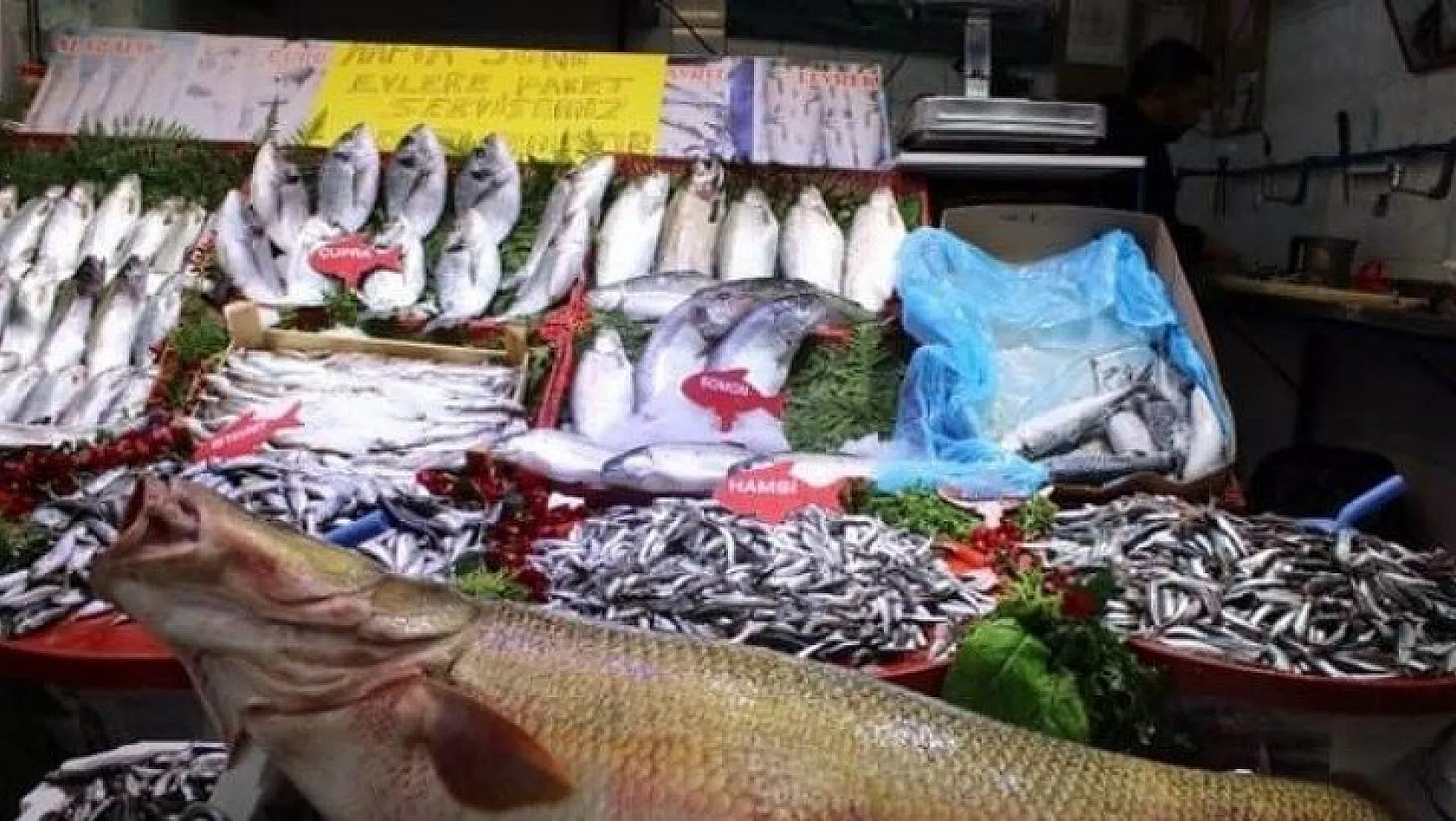 Balık fiyatları cep yakıyor