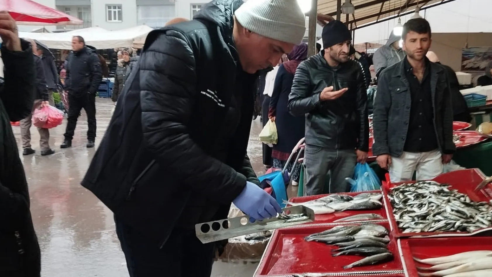 Beyşehir'de balıkların boyu ölçüldü