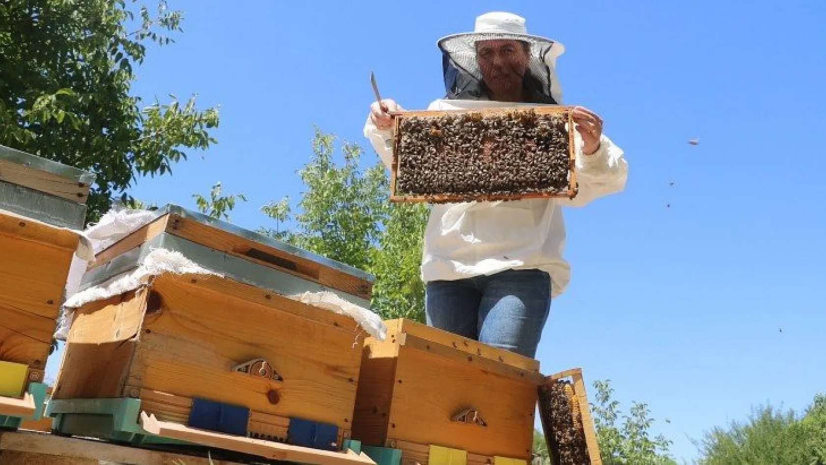 Arı üreticilerini uyardı