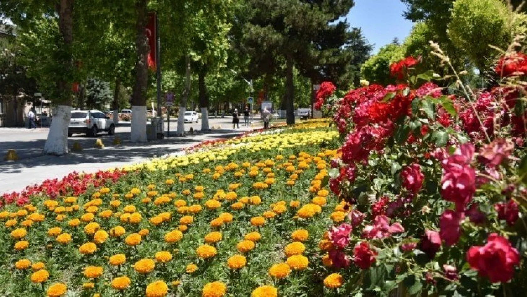 Büyükşehir'den 150 bin çiçek