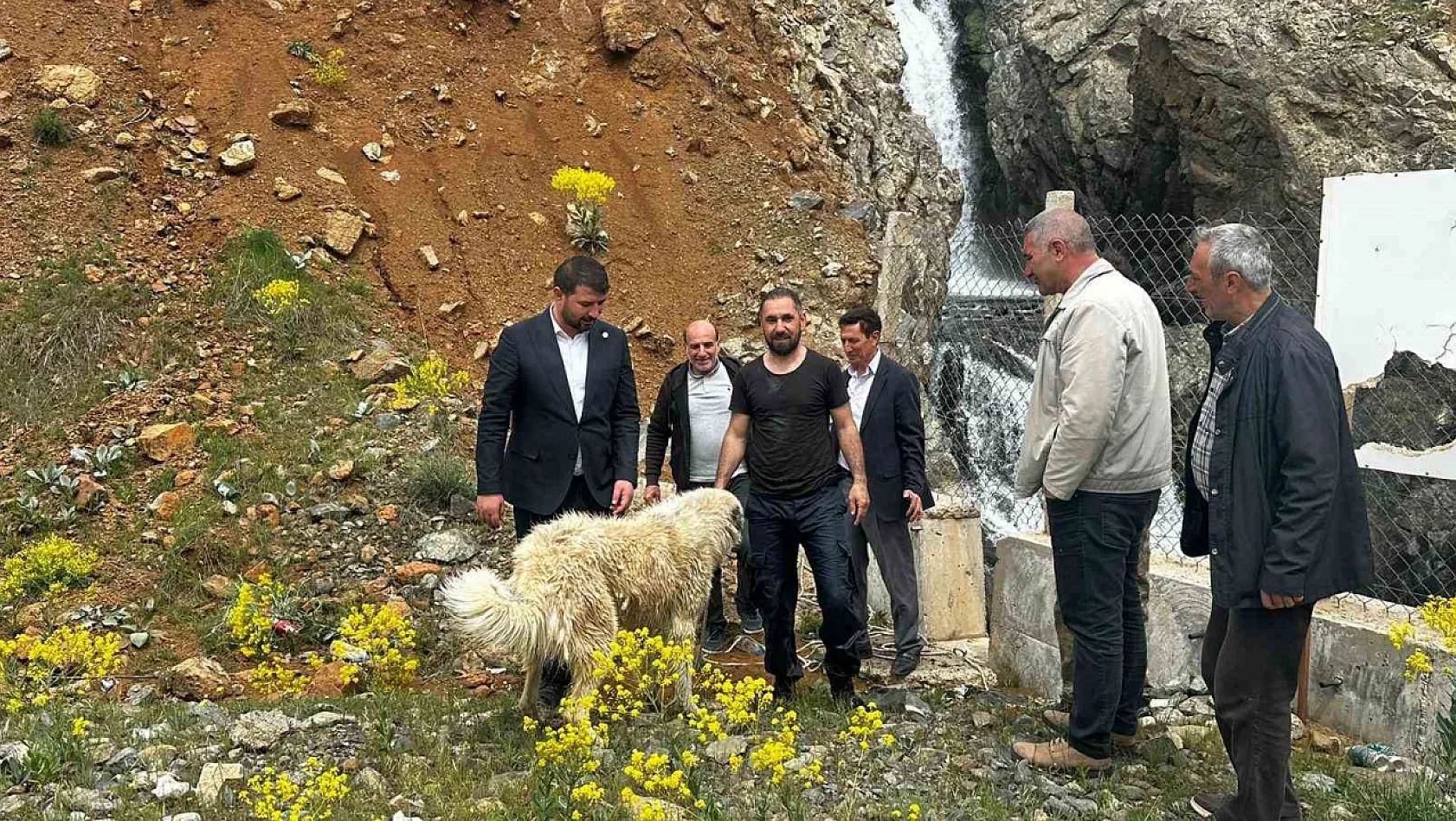 Elazığ'da belediye başkanı köpek kurtardı..!