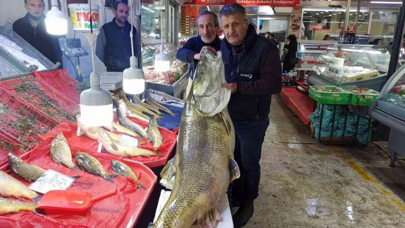 144 kiloluk balık yakalandı