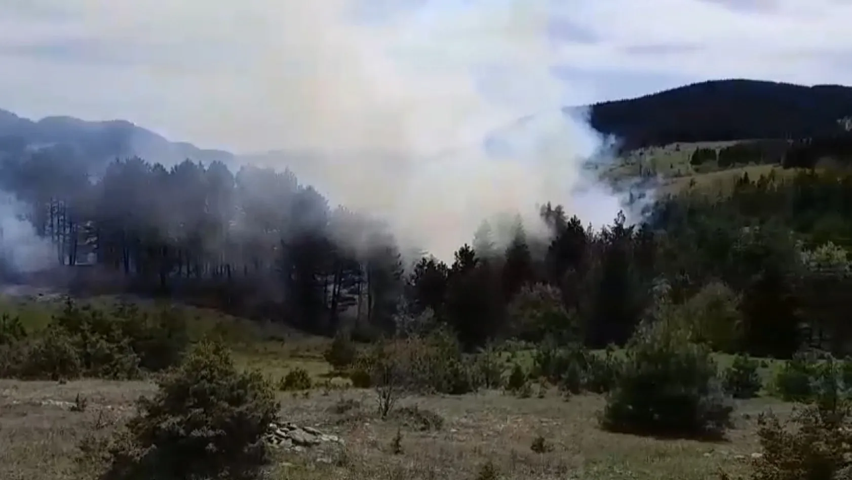 Sinop'ta korkutan orman yangını