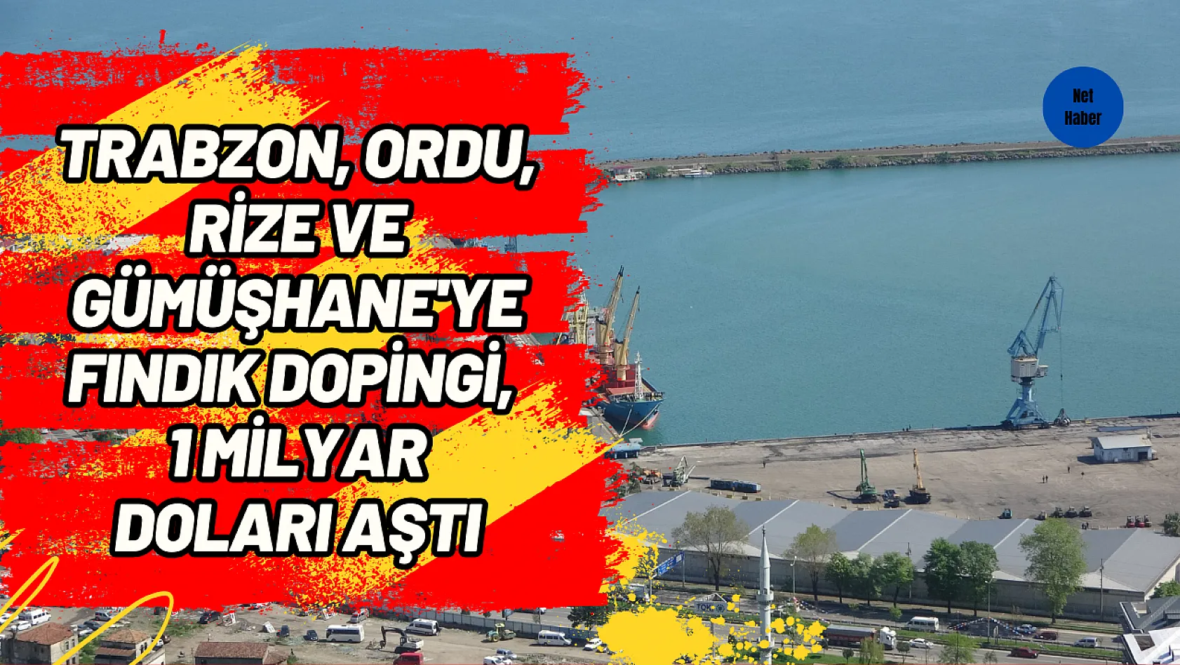 Trabzon, Ordu, Rize ve Gümüşhane'ye fındık dopingi, 1 milyar doları aştı