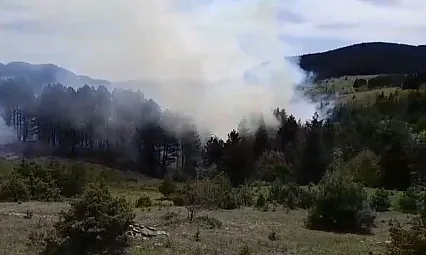 Sinop'ta korkutan orman yangını