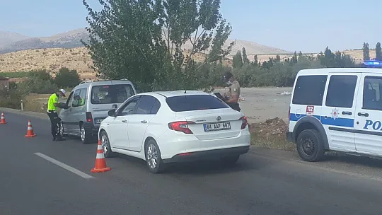Trafik denetimi