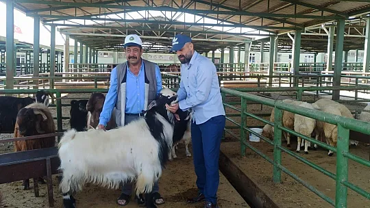 Akın, canlı hayvan pazarını ziyaret etti