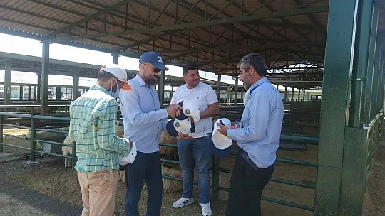 Akın, canlı hayvan pazarını ziyaret etti