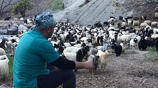 Can dostlara kuduz aşısı yapıldı