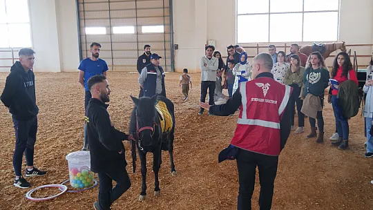 Engeller hippoterapi ile aşılacak