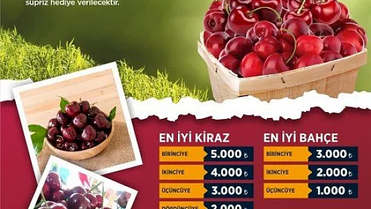 Kirazlar jüriye teslim edildi