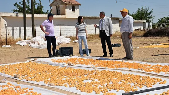 Kayısı kükürtleme iki saate düşecek