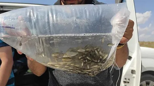 Bilinçsiz balık avcılığı uyarısı